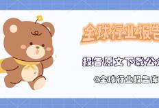 2025年中國(guó)流媒体音乐市场的高(gāo)端化机遇報(bào)告(gào)（英文(wén)版(bǎn)）