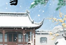 小(xiǎo)雪海報(bào) | “小(xiǎo)”得即圆满，“雪”落不知(zhī)寒。