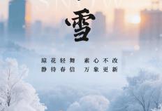 小(xiǎo)雪海報(bào) | “小(xiǎo)”得即圆满，“雪”落不知(zhī)寒。