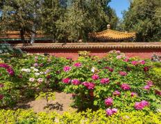 常州旅遊(yóu)攻(gōng)略(lüè)：如何提前(qián)購(gòu)买景点门票，告別(bié)排队煩(fán)惱(nǎo)，畅玩龍(lóng)城