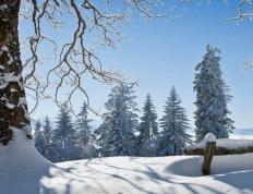 電(diàn)竞入选亚运會(huì)正式项目(mù)推动认可