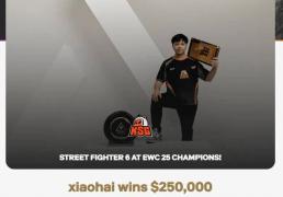 电竞世界(jiè)杯街霸6：Xiaohai逆转夺冠，KSG战队获70万美元