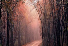 2025英雄联盟全球总决赛开启，多家院(yuàn)线将直播赛事