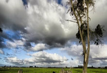 青海电競(jìng)选手刘艺甯(níng)夺得世(shì)界(jiè)冠(guān)军