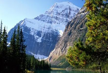 赵长鹏获特(tè)朗(lǎng)普(pǔ)赦免，双方发聲(shēng)