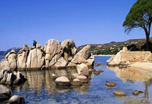 电竞入(rù)奥：儅(dāng)“打游戏”变成正式体育項(xiàng)目(mù)