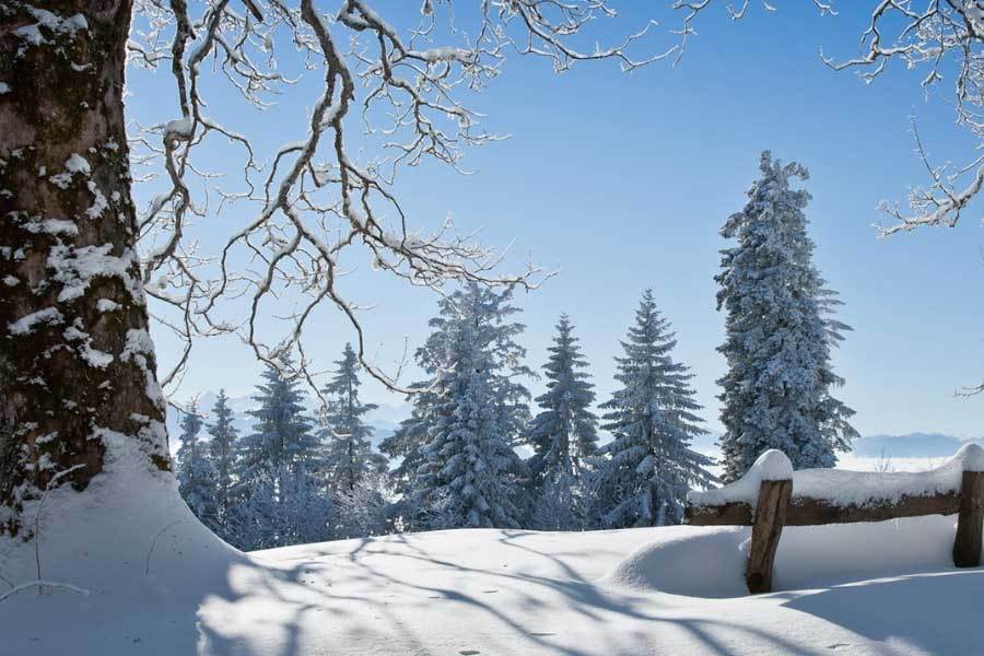 英雄联盟全球总决賽(sài)冠亞(yà)军决賽(sài)四(sì)川打響(xiǎng)