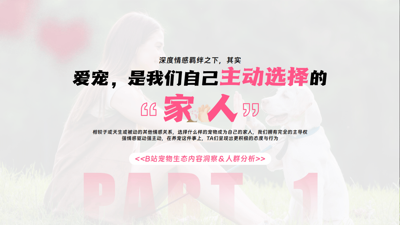 嗶(bì)哩(lī)嗶(bì)哩(lī)運(yùn)营:嗶(bì)哩(lī)嗶(bì)哩(lī)2025年(nián)宠物行(xíng)业营销通案