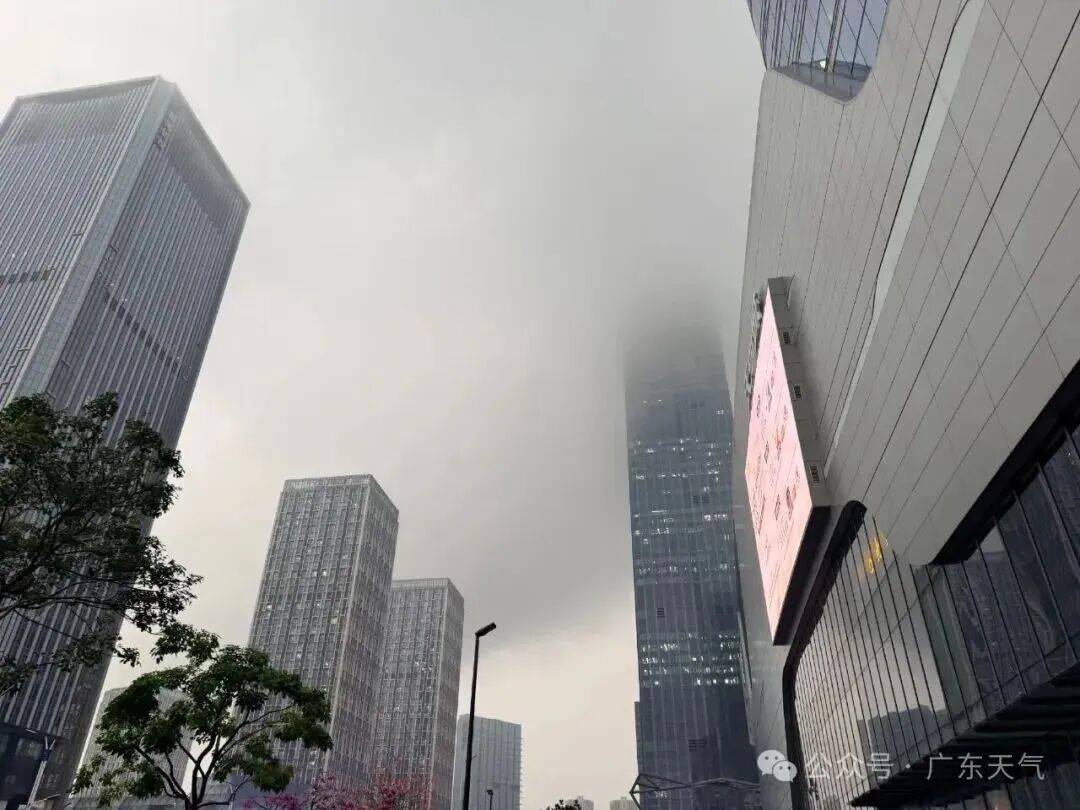 本周末,深(shēn)圳天气将反轉(zhuǎn)!