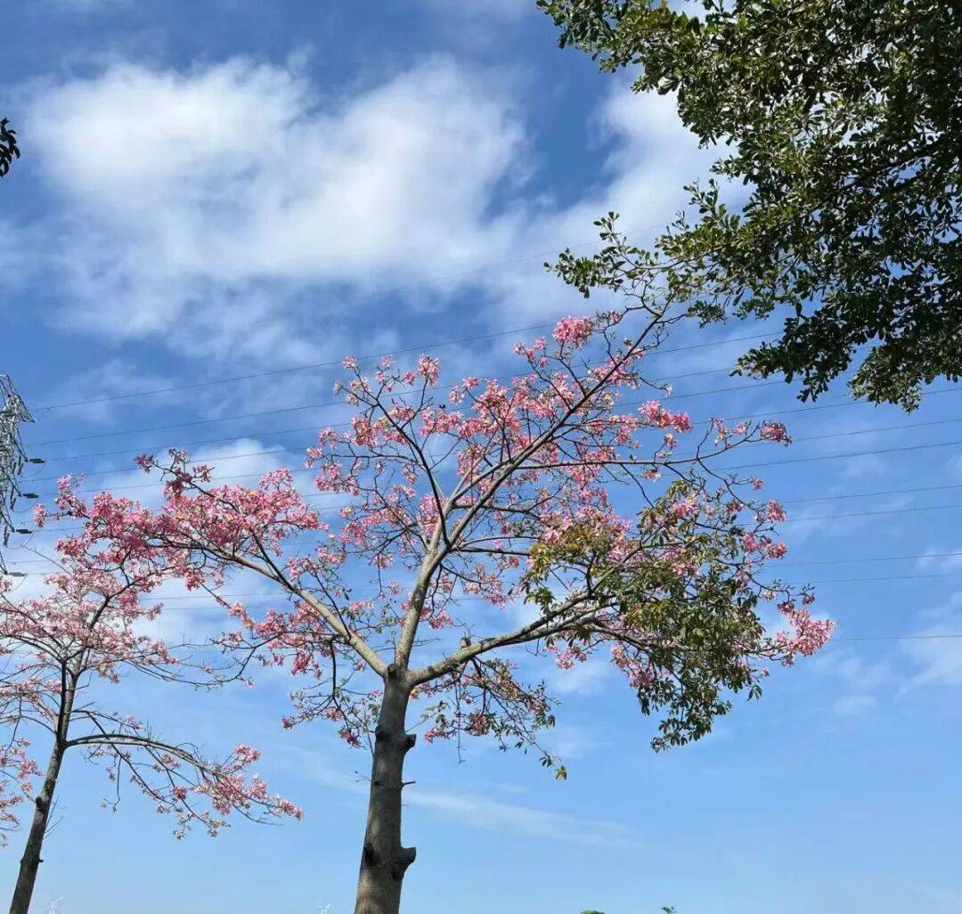 本周末,深(shēn)圳天气将反轉(zhuǎn)!