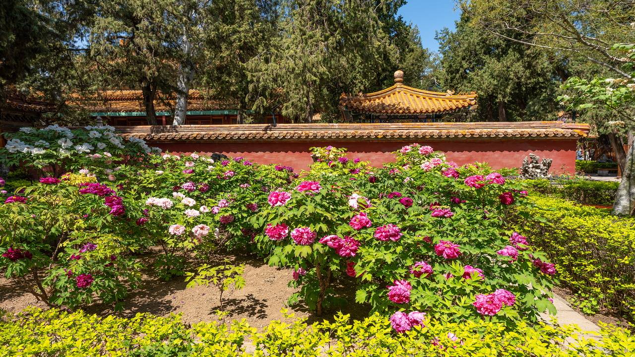 常州旅遊(yóu)攻(gōng)略(lüè)：如何提前(qián)購(gòu)买景点门票，告別(bié)排队煩(fán)惱(nǎo)，畅玩龍(lóng)城